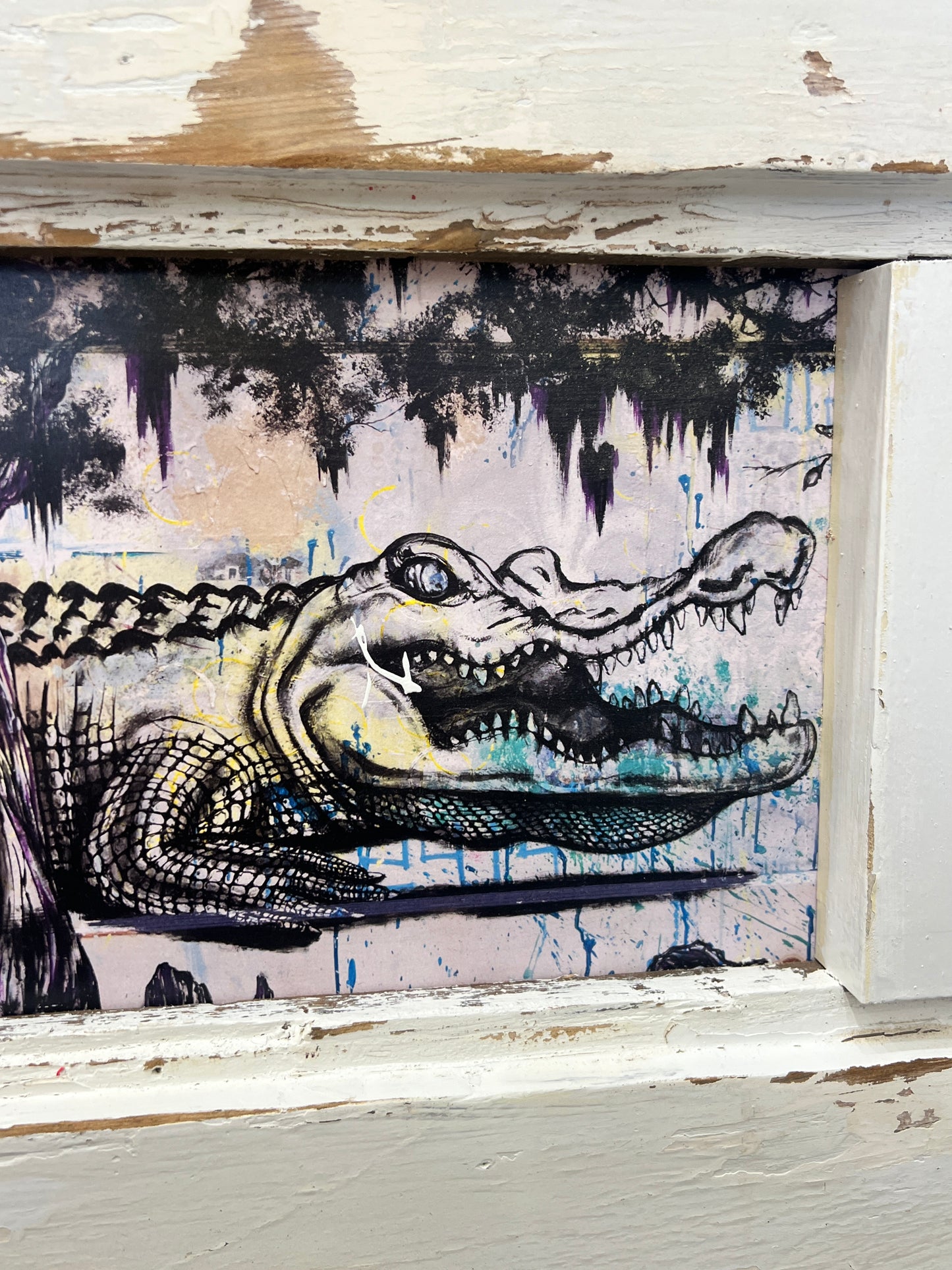 Swamp Gator - Print with White Reclaimed Wood Frame