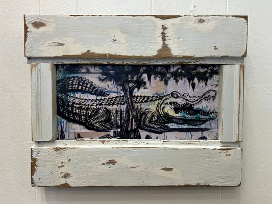 Swamp Gator - Print with White Reclaimed Wood Frame